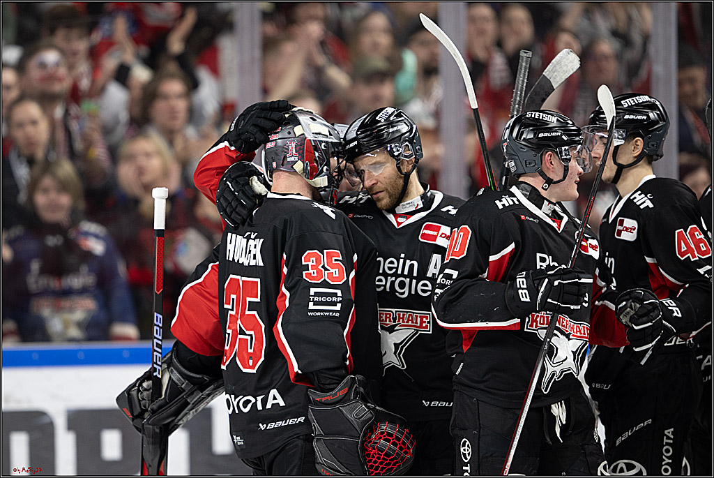 PENNY DEL 1; Kölner Haie - Düsseldorfer EG ; Köln, 16.02.2025